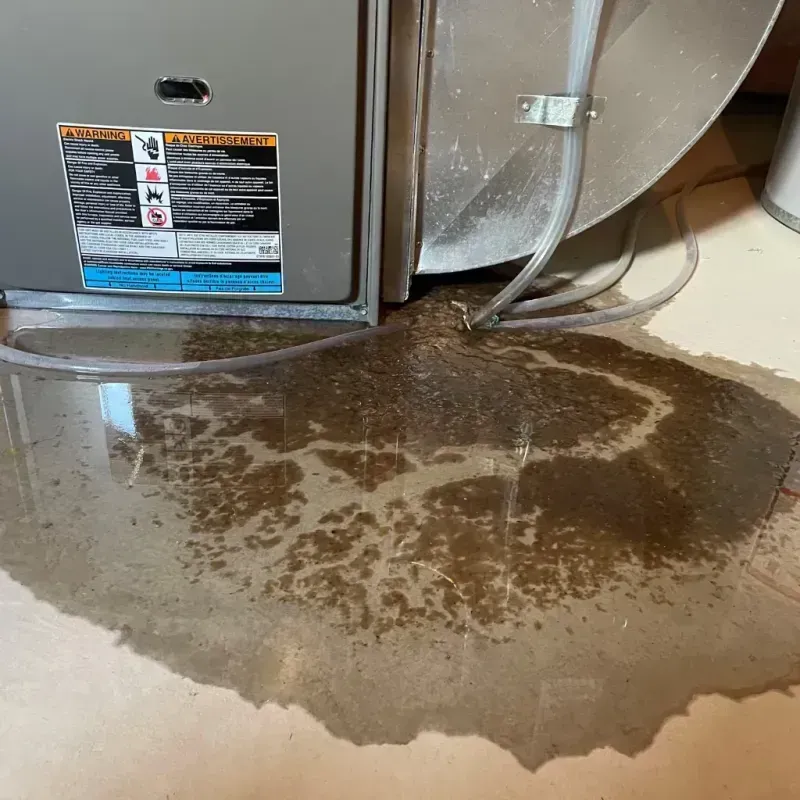 Appliance Leak Cleanup in Dollar Bay, MI